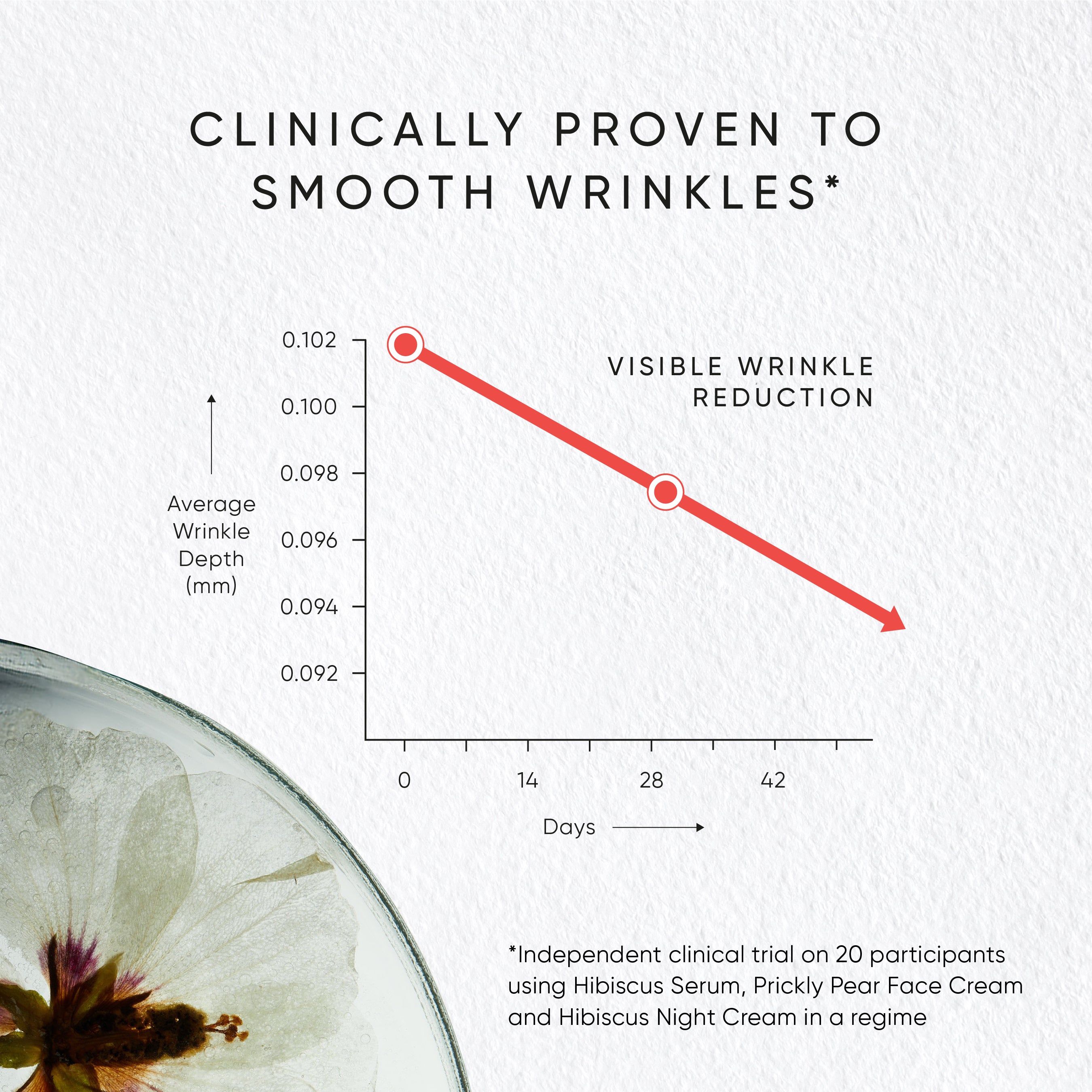 Wrinkle-Smoothing Myoxinol™ Regime Sachet Set