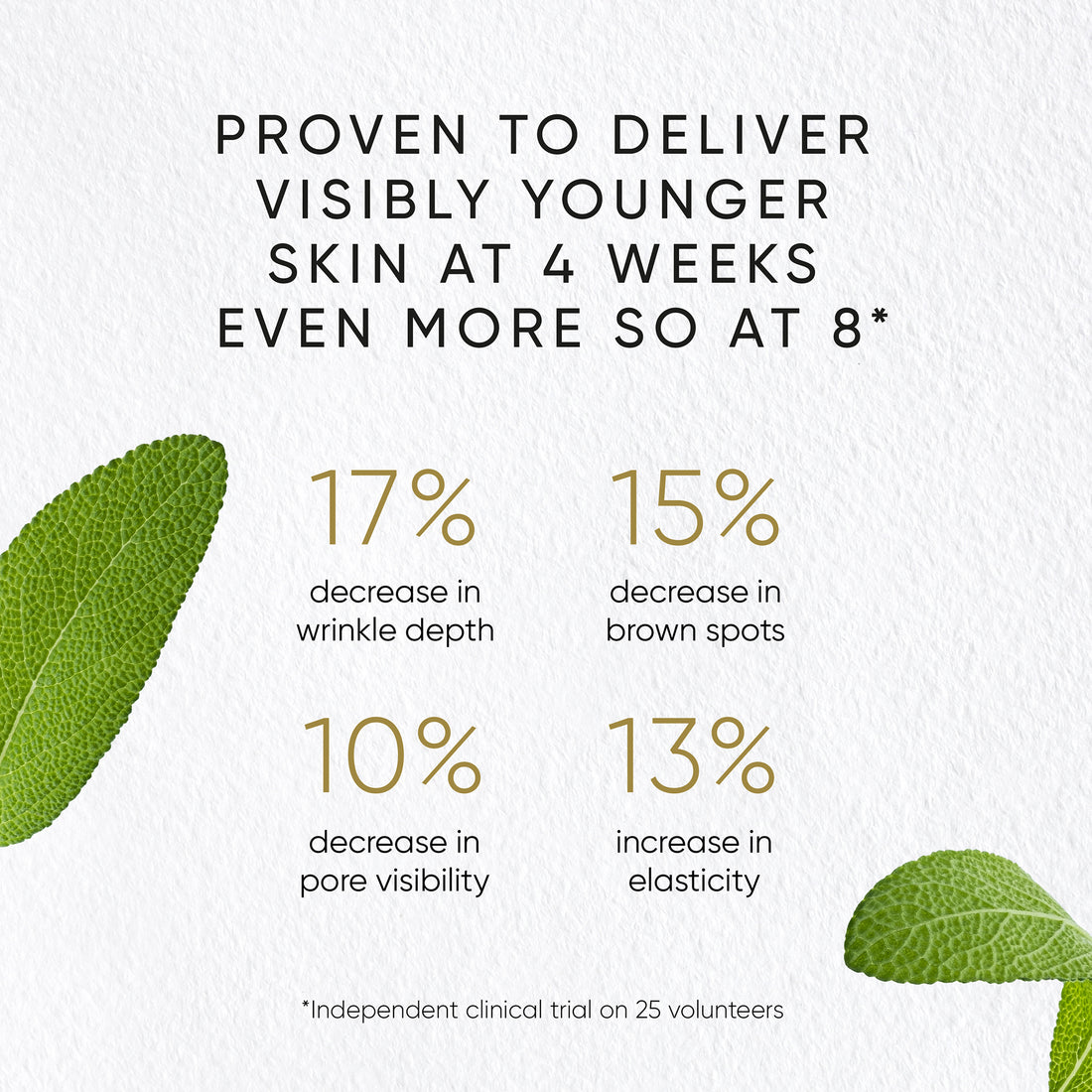 Irene Forte Phytomelatonin Rejuvenating Serum bottle and packaging on a white background with serum swatch texture