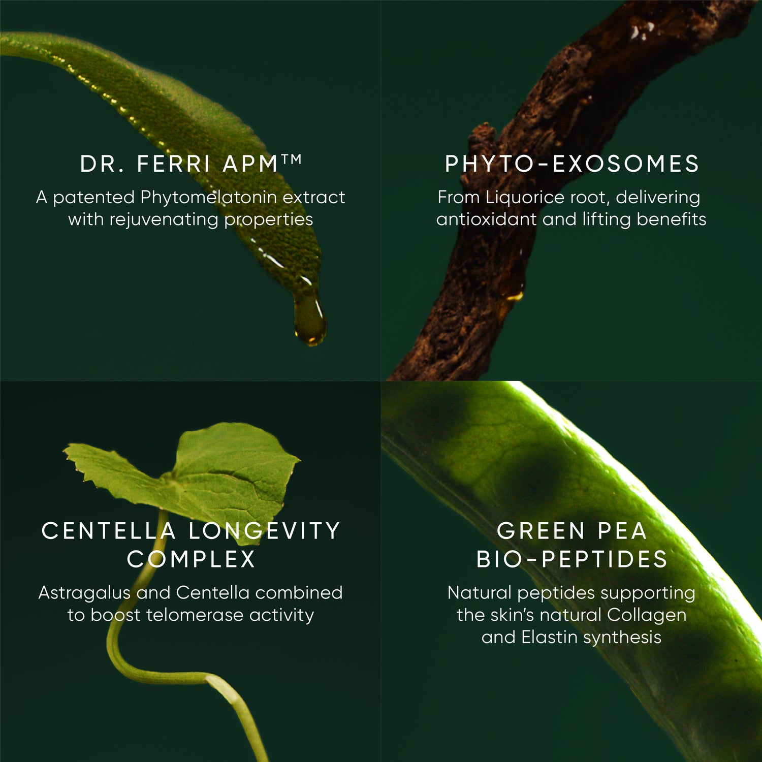 Phytomelatonin Rejuvenating Eye Cream active ingredients