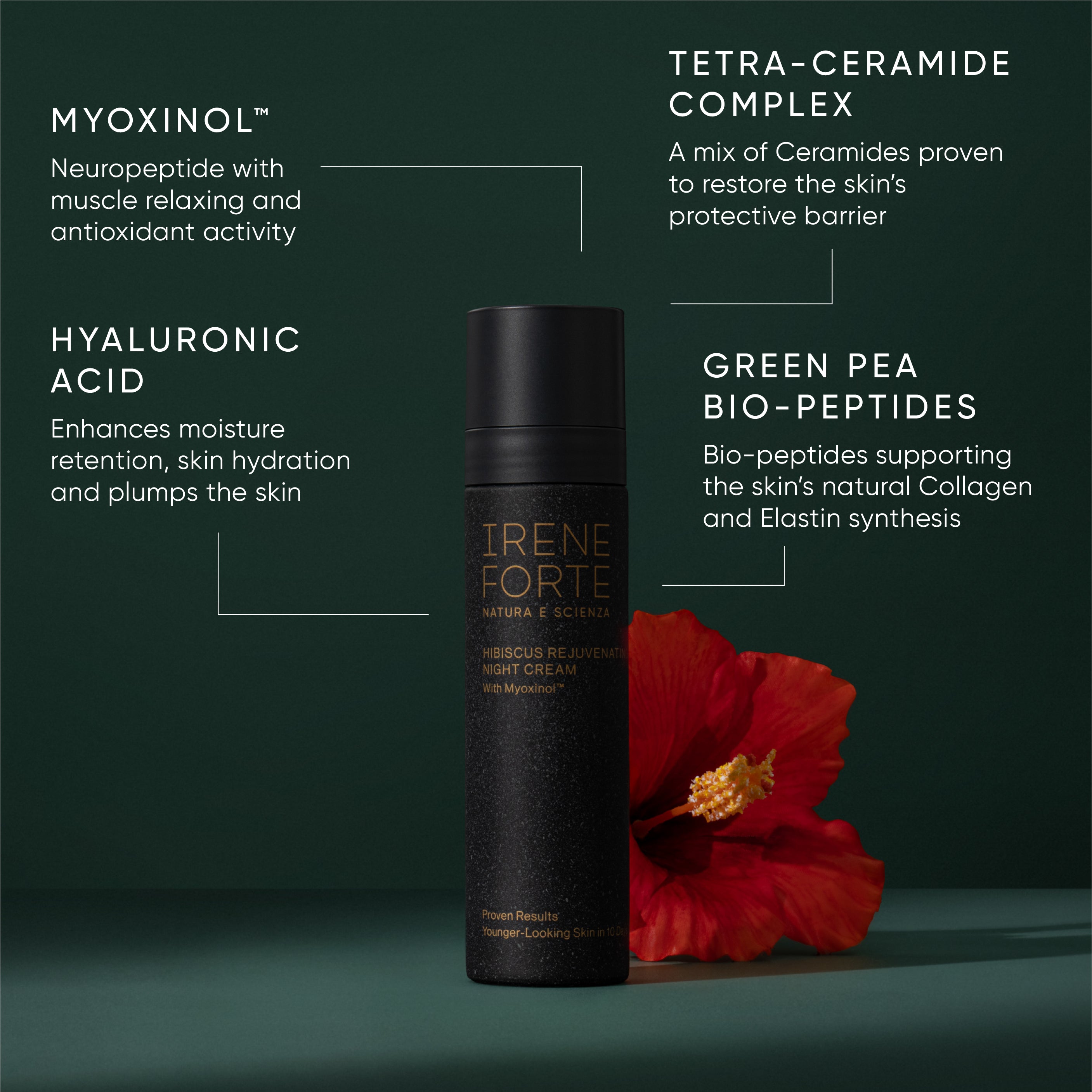 Hibiscus Rejuvenating Night Cream | Irene Forte Luxury Skincare