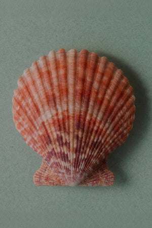 mobile-image