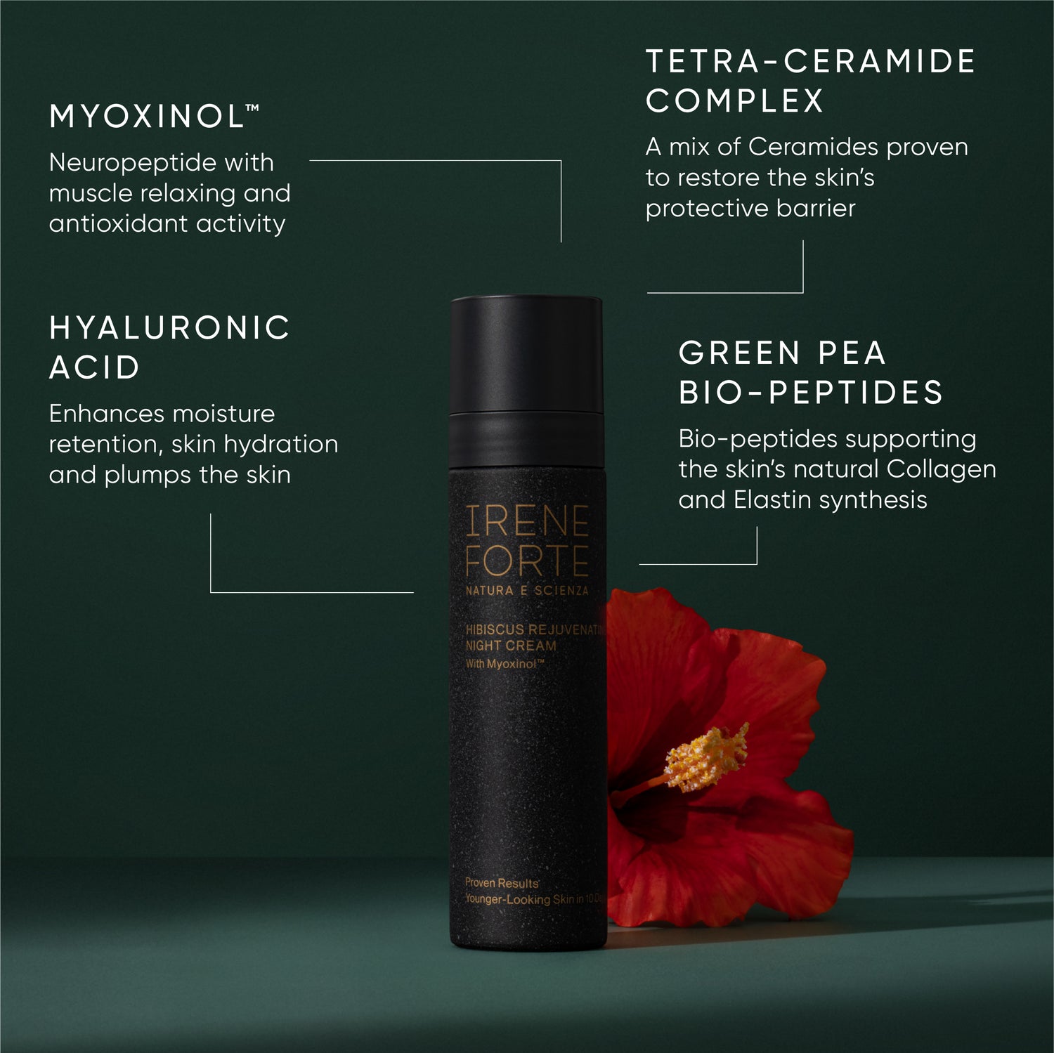 Hibiscus Rejuvenating Night Cream