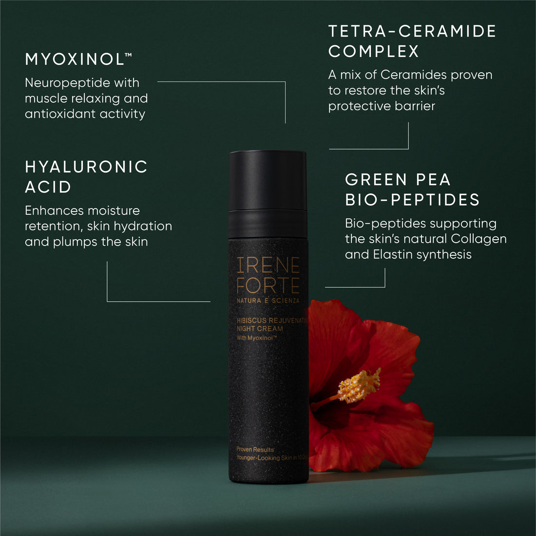 Hibiscus Rejuvenating Night Cream Refill