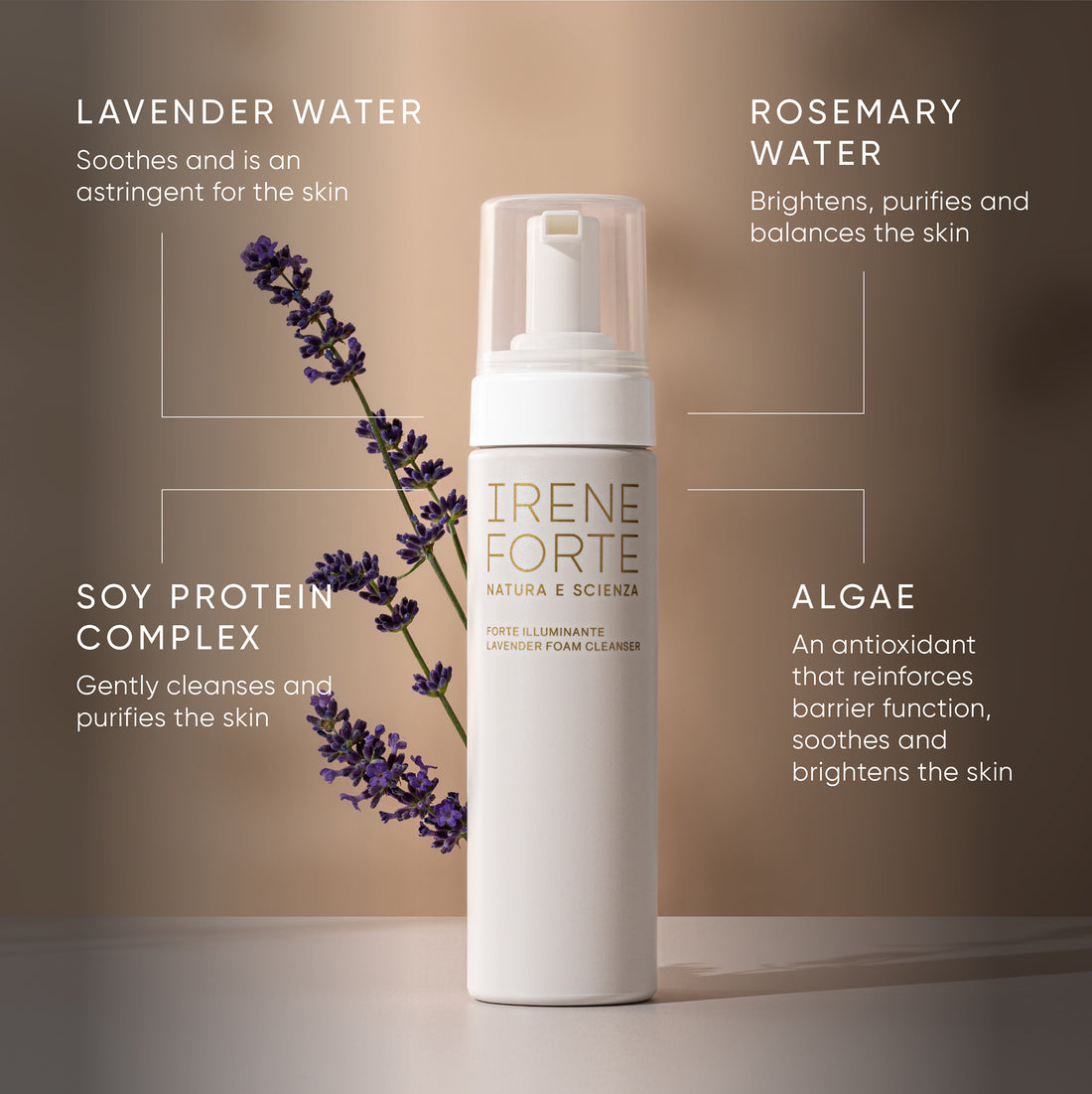 Lavender Foam Cleanser
